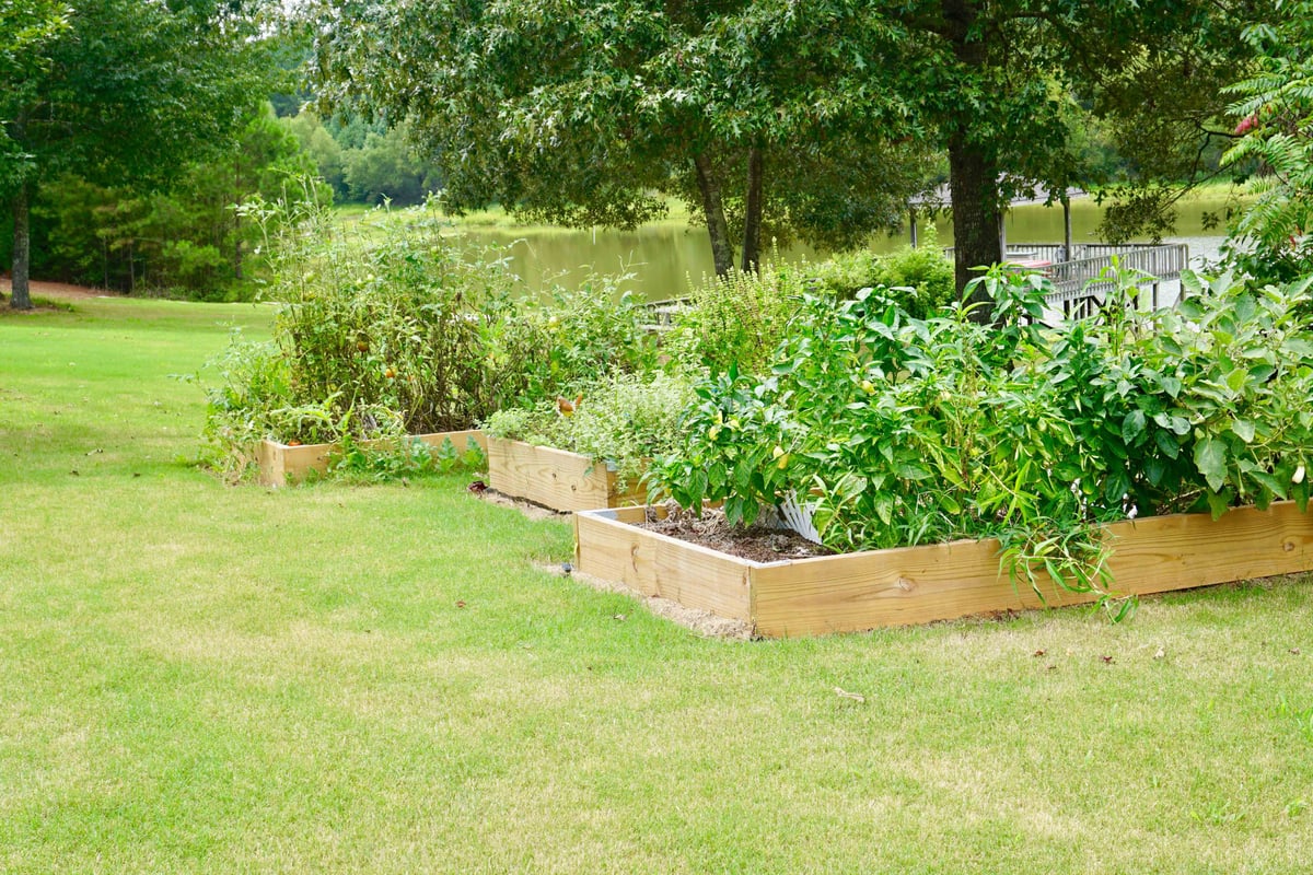 recovery treatment teen boy garden