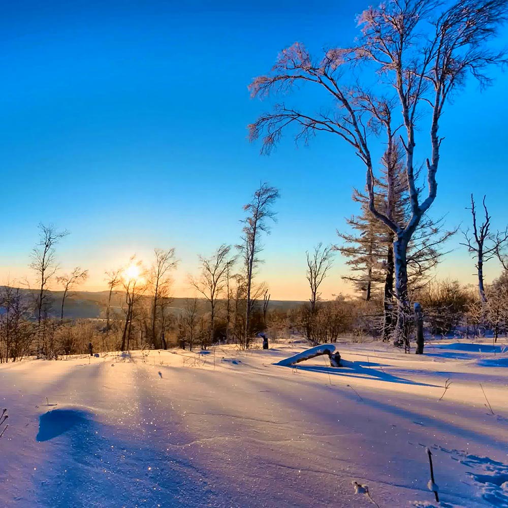 Stonewater-Email-Blast-Jan2026-Peace-in-the-Storm-Opt2